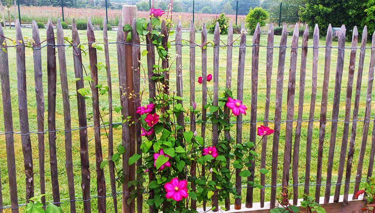 cote-et-jardins-paysagiste-pornic-cloture-ganivelle